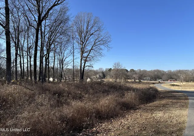Homes for sale in Nesbit, MS | 4889 Austin Rd, Nesbit, MS 38651 | MLS# 4099425