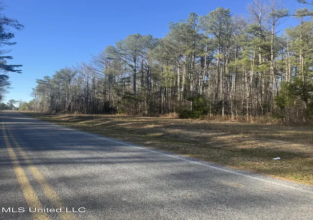 Photo 3 of Sale Pending at Lake Rd, Pelahatchie, MS 39145 | MLS# 4099528 | Listing updated on 2026-03-30