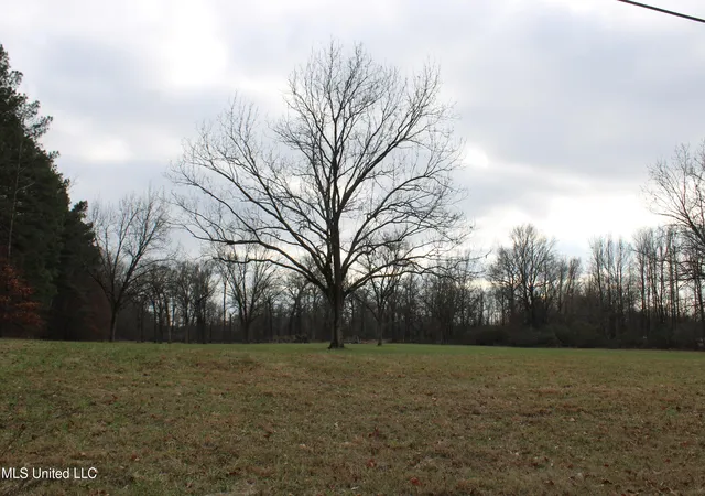 Photo 4 of Land for sale at 2001 W Oak Grv Rd, Hernando, MS 38632 | MLS# 4100243 | Listing updated on 2026-08-19