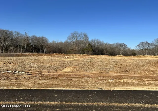 Homes for sale in Byhalia, MS | 21 Pebble View Dr, Byhalia, MS 38611 | MLS# 4101170