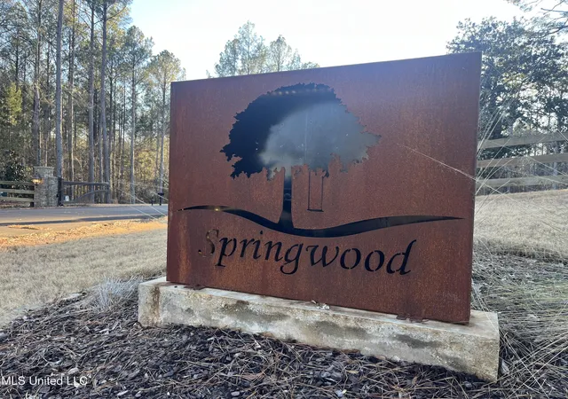3rd image of Springwood Trail, Flora, MS 39071 | MLS# 4102916