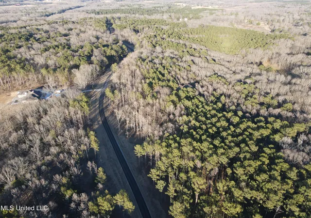 59th image of Springwood Trail, Flora, MS 39071 | MLS# 4102916