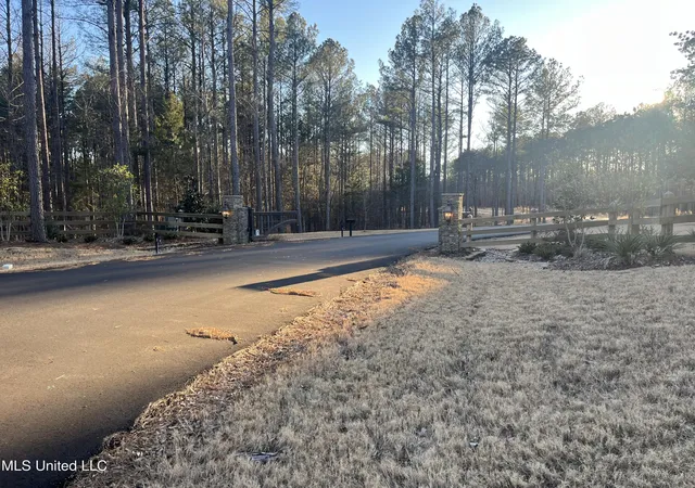 5th image of Springwood Trail, Flora, MS 39071 | MLS# 4102916