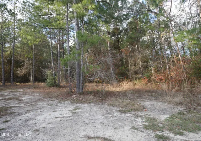 Homes for sale in Kiln, MS | Choctaw Pl, Kiln, MS 39556 | MLS# 4103319
