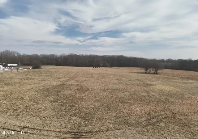 5th image of Us-51, Canton, MS 39046 | MLS# 4106181