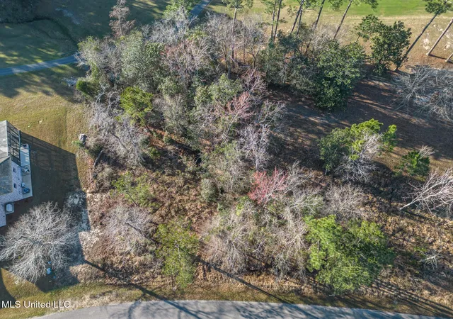 Photo 2 of Land for sale at Turnberry Dr, Diamondhead, MS 39525 | MLS# 4104114 | Listing updated on 2026-03-30