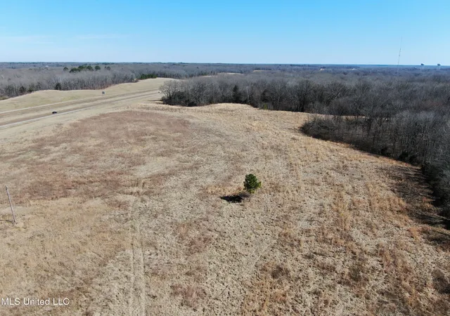 2nd image of 252 Shinpoch Ln, Olive Branch, MS 38654 | MLS# 4105047