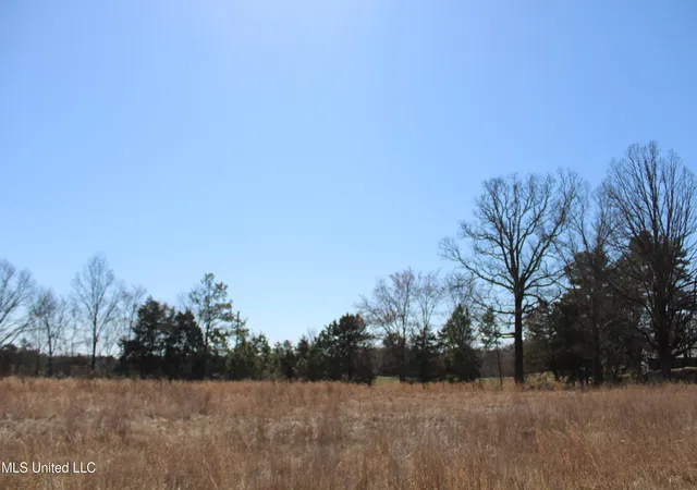 30th image of 252 Shinpoch Ln, Olive Branch, MS 38654 | MLS# 4105047
