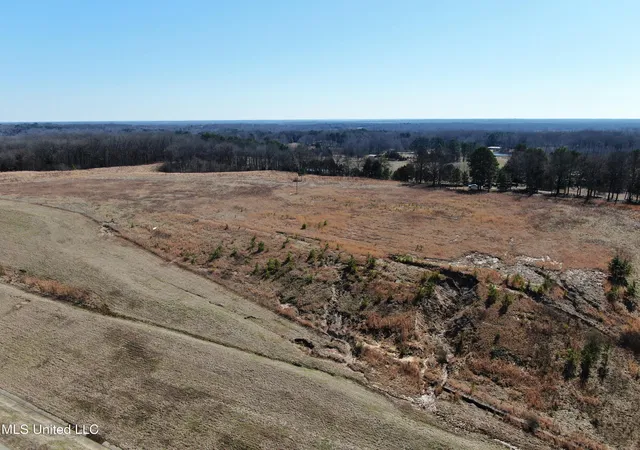 4th image of 252 Shinpoch Ln, Olive Branch, MS 38654 | MLS# 4105047