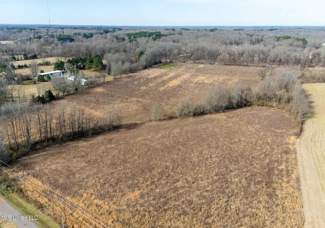 Photo 2 of Land for sale at S Old Hwy 51, Hernando, MS 38632 | MLS# 4105246 | Listing updated on 2026-09-03