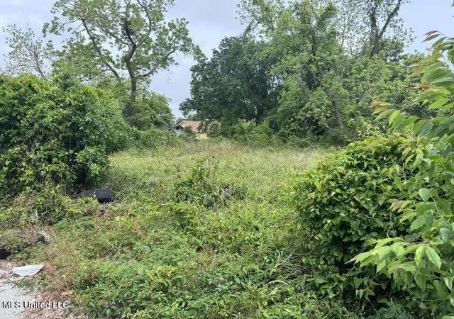 Photo 1 of Land for sale at Todd Aly, Gulfport, MS 39501 | MLS# 4105379 | Listing updated on 2026-03-30