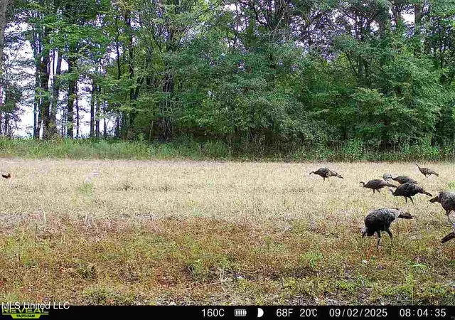 Homes for sale in Batesville, MS | Curtis Rd, Batesville, MS 38606 | MLS# 4105556