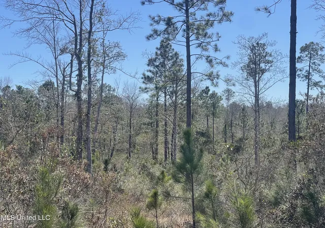 Photo 3 of Land for sale at Broken Arrow, Kiln, MS 39556 | MLS# 4105722 | Listing updated on 2026-06-02