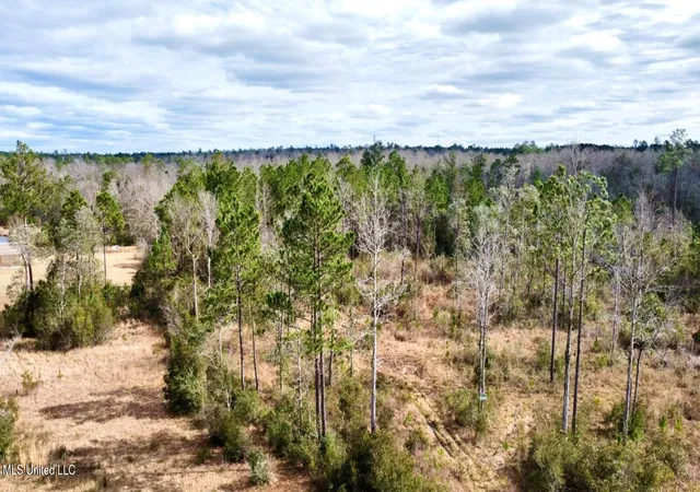 Photo 3 of Land for sale at Broken Arrow, Kiln, MS 39556 | MLS# 4105722 | Listing updated on 2026-06-02