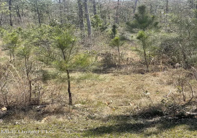 Photo 4 of Land for sale at Broken Arrow, Kiln, MS 39556 | MLS# 4105722 | Listing updated on 2026-06-02