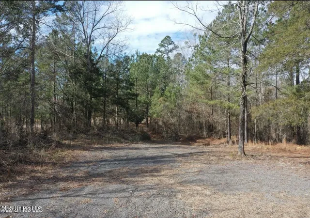 Photo 2 of Land for sale at Shiloh Rd, Brandon, MS 39042 | MLS# 4106044 | Listing updated on 2026-07-15