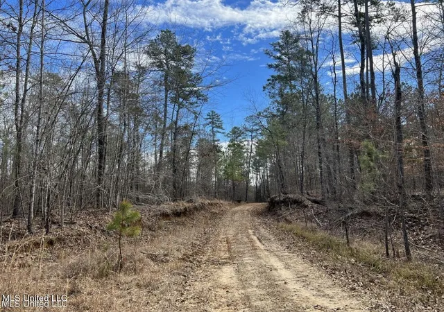 Photo 3 of Land for sale at Shiloh Rd, Brandon, MS 39042 | MLS# 4106044 | Listing updated on 2026-07-15