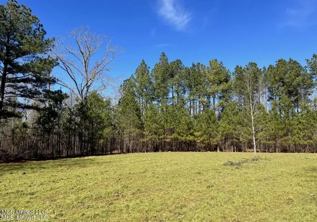 Photo 4 of Land for sale at Shiloh Rd, Brandon, MS 39042 | MLS# 4106044 | Listing updated on 2026-07-15