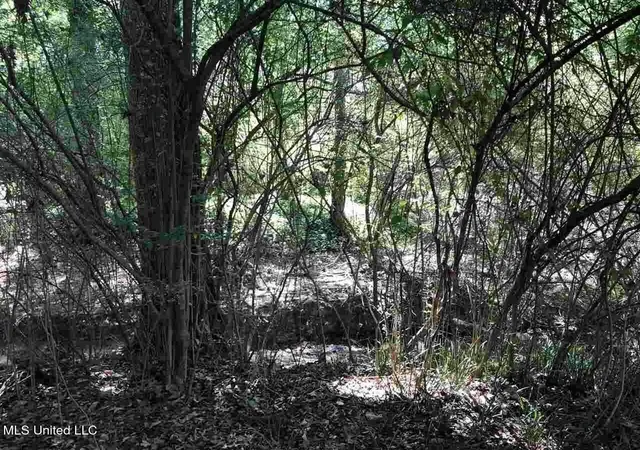 image of 0 W Washington St, Ridgeland, MS 39157 | MLS# 4107499