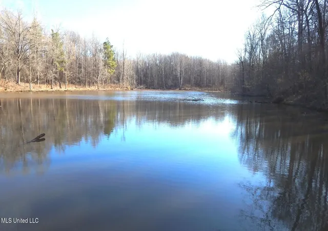 Photo 1 of Sale Pending at 4577 Bluff Rd, Hernando, MS 38632 | MLS# 4107171 | Listing updated on 2026-08-21