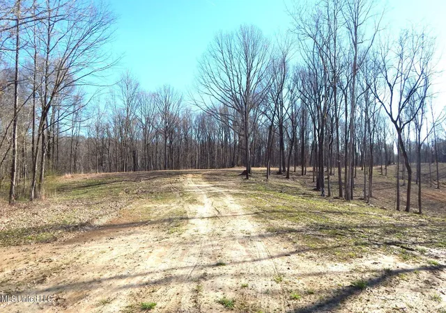 Photo 3 of Sale Pending at 4577 Bluff Rd, Hernando, MS 38632 | MLS# 4107171 | Listing updated on 2026-08-21