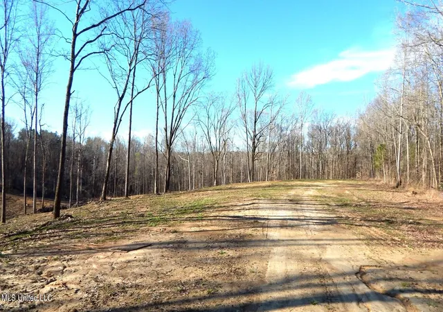 Photo 4 of Sale Pending at 4577 Bluff Rd, Hernando, MS 38632 | MLS# 4107171 | Listing updated on 2026-08-21