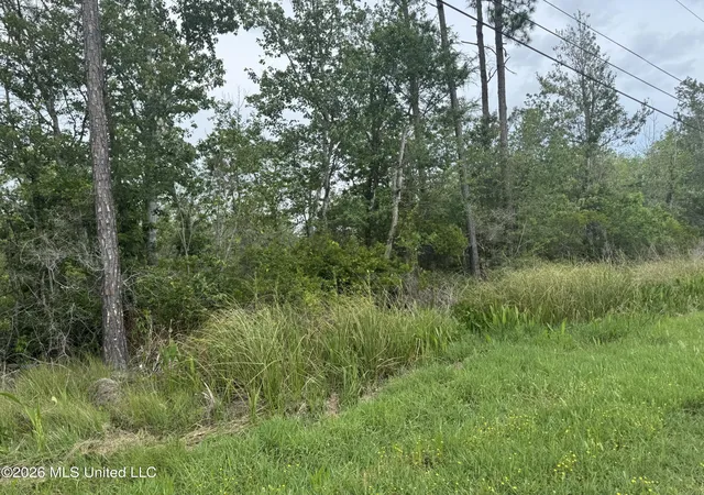 Homes for sale in Kiln, MS | Nsn Lot 24 Piute Dr, Kiln, MS 39556 | MLS# 4147901