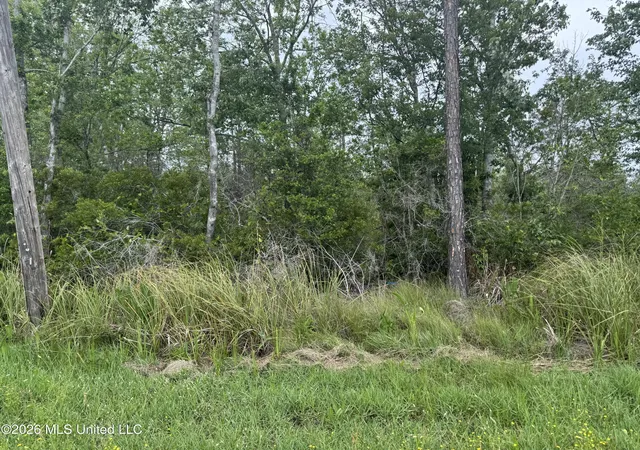Homes for sale in Kiln, MS | Nsn Lot 24 Piute Dr, Kiln, MS 39556 | MLS# 4147901