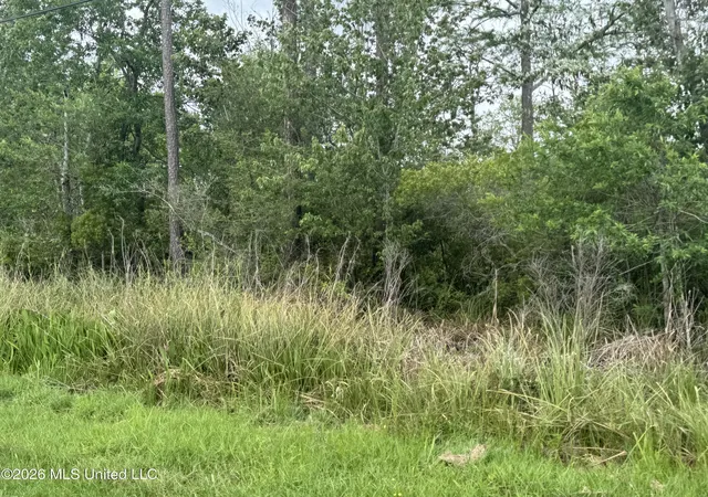 Homes for sale in Kiln, MS | Nsn Lot 24 Piute Dr, Kiln, MS 39556 | MLS# 4147901
