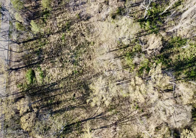 Photo 1 of Land for sale at 5370 Clinton Tinnin Rd, Jackson, MS 39209 | MLS# 4107833 | Listing updated on 2026-08-28