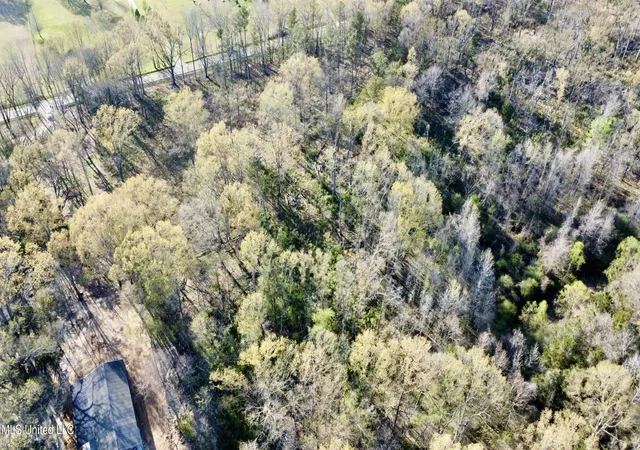 Photo 2 of Land for sale at 5370 Clinton Tinnin Rd, Jackson, MS 39209 | MLS# 4107833 | Listing updated on 2026-08-28