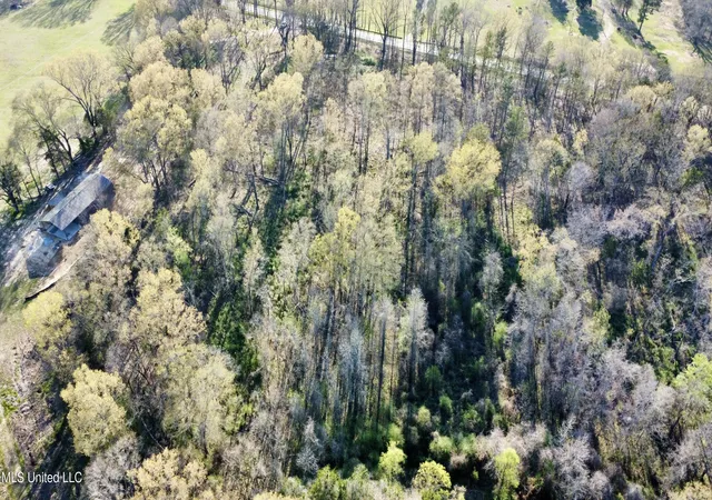Photo 4 of Land for sale at 5370 Clinton-Tinnin Rd, Jackson, MS 39209 | MLS# 4107833 | Listing updated on 2026-08-28