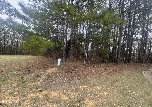 Homes for sale in Holly Springs, MS | 0 Kite Cvs, Holly Springs, MS 38635 | MLS# 4107662