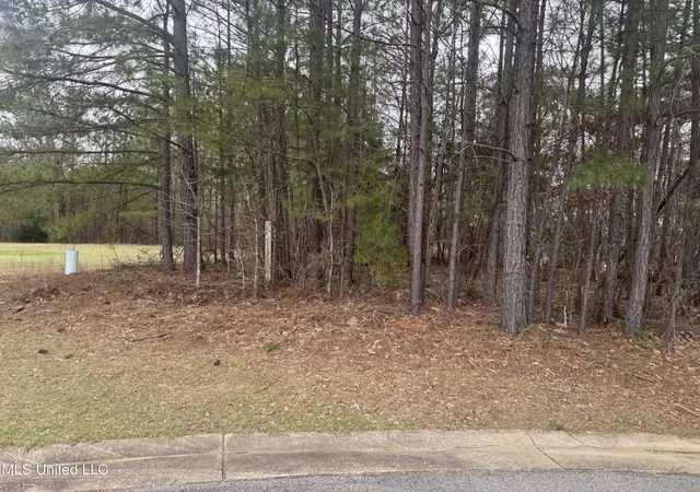 Homes for sale in Holly Springs, MS | 0 Kite Cvs, Holly Springs, MS 38635 | MLS# 4107662