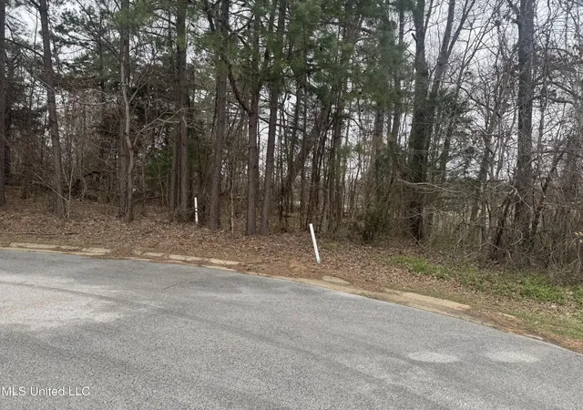 Photo 3 of Land for sale at 0 Kite Cvs, Holly Springs, MS 38635 | MLS# 4107662 | Listing updated on 2026-03-30