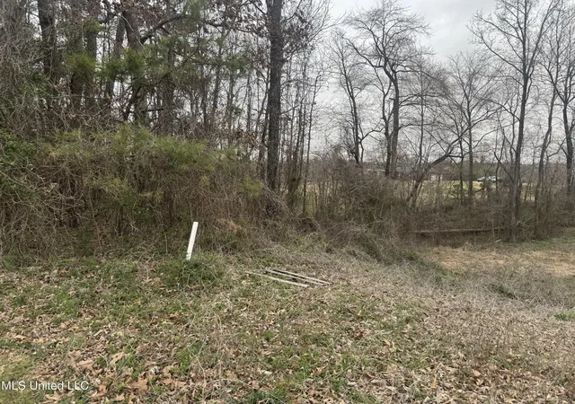 Homes for sale in Holly Springs, MS | 0 Kite Cvs, Holly Springs, MS 38635 | MLS# 4107662