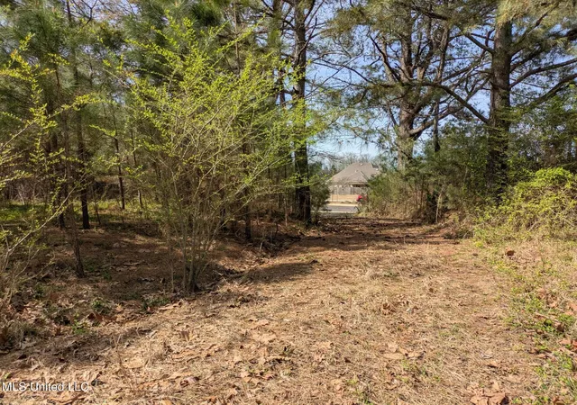 Photo 2 of Land for sale at 3774 Getwell Rd, Southaven, MS 38672 | MLS# 4107779 | Listing updated on 2026-03-31
