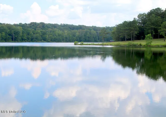 Photo 3 of Land for sale at Chestnut Hl Rd, Flora, MS 39071 | MLS# 4108110 | Listing updated on 2026-07-22