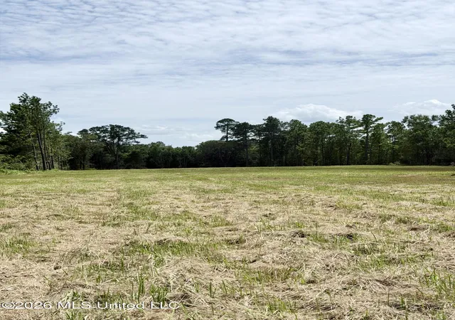 4th image of Hwy 613, Lucedale, MS 39452 | MLS# 4108899