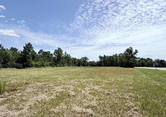 5th image of Hwy 613, Lucedale, MS 39452 | MLS# 4108899