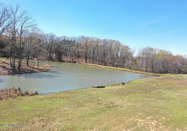 Homes for sale in Byhalia, MS | 14491 Valley View Cvs, Byhalia, MS 38611 | MLS# 4109298