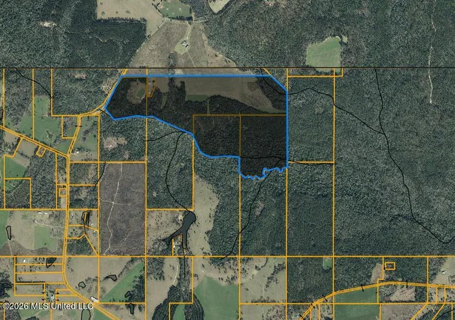 Homes for sale in Wiggins, MS | 110 Tyner Branch Rd, Wiggins, MS 39577 | MLS# 4147638