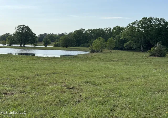 2nd image of 20118 Hwy 603 Lot 5, Kiln, MS 39556 | MLS# 4109827