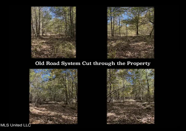 Homes for sale in Batesville, MS | 5177-B Nash Rd, Batesville, MS 38606 | MLS# 4110048