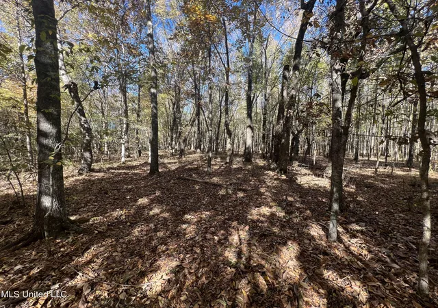 Homes for sale in Batesville, MS | 5177 B Nash Rd, Batesville, MS 38606 | MLS# 4110048