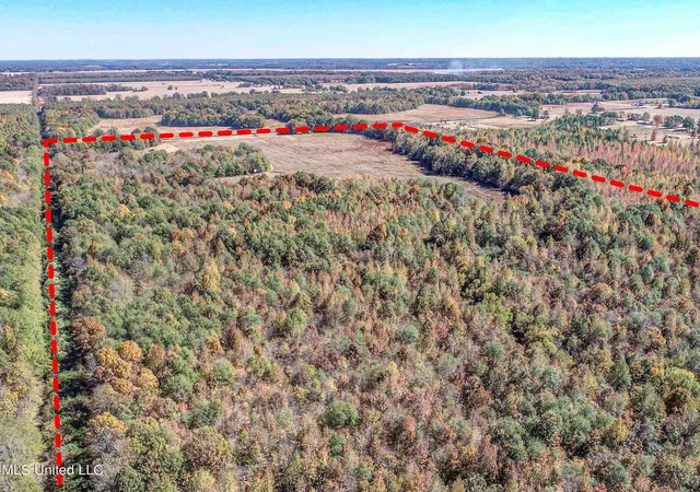 Homes for sale in Batesville, MS | 5177 B Nash Rd, Batesville, MS 38606 | MLS# 4110048