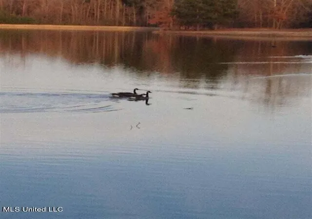 Photo 3 of Land for sale at 0 Bellemeade Dr, Clinton, MS 39056 | MLS# 4110194 | Listing updated on 2026-03-30