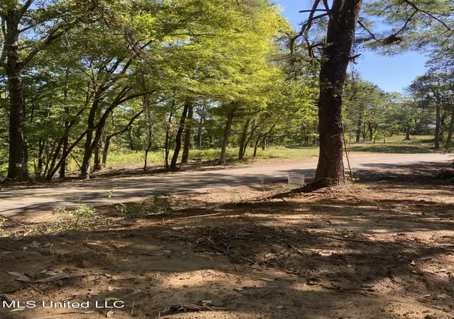 Homes for sale in Coldwater, MS | O Bluff Rd, Coldwater, MS 38618 | MLS# 4110319