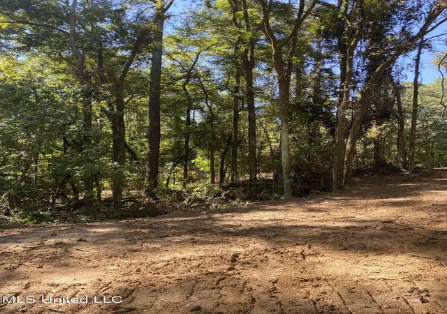 Homes for sale in Coldwater, MS | O Bluff Rd, Coldwater, MS 38618 | MLS# 4110319