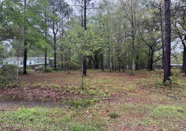 Homes for sale in Kiln, MS | 00 Camellia St, Kiln, MS 39556 | MLS# 4111133